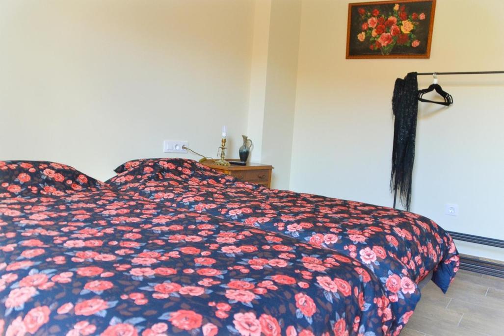 Bed and Breakfast Casa Bienvenida - Carcaixent Екстер'єр фото
